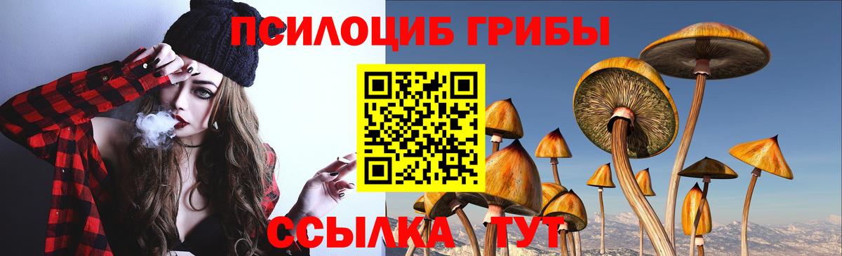 Унеча  Галлюциногенные грибы Magic Shrooms  Вход с VPN 